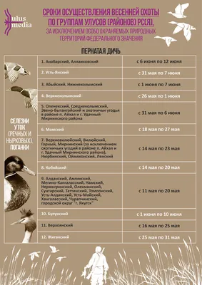 Сезон охоты, Андрей Гудков – скачать книгу fb2, epub, pdf на ЛитРес