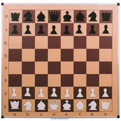 Шахматная доска обиходная, 29 х 29 х 3.5 см - РусЭкспресс