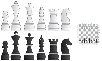 Шахматные фигуры большие купить - Индийская акация