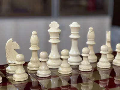 Шахматные фигуры, король h-9 см, пешка h-4 см купить в Чите Шахматы в  интернет-магазине Чита.дети (536158)