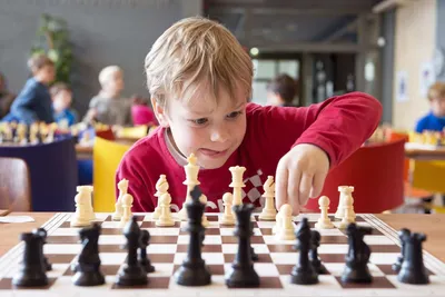 Шахматы - это спорт? 5 аргументов в пользу того, что шахматы - это спорт