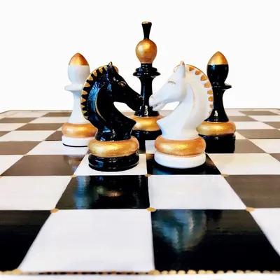 Казахстанский гамбит: как финансируются шахматы в РК?