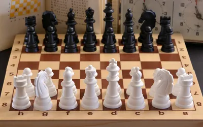 Шахматы и шашки | Купить настольную игру в магазинах Мосигра