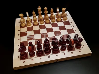 Как начать играть в шахматы - Инфографика ТАСС