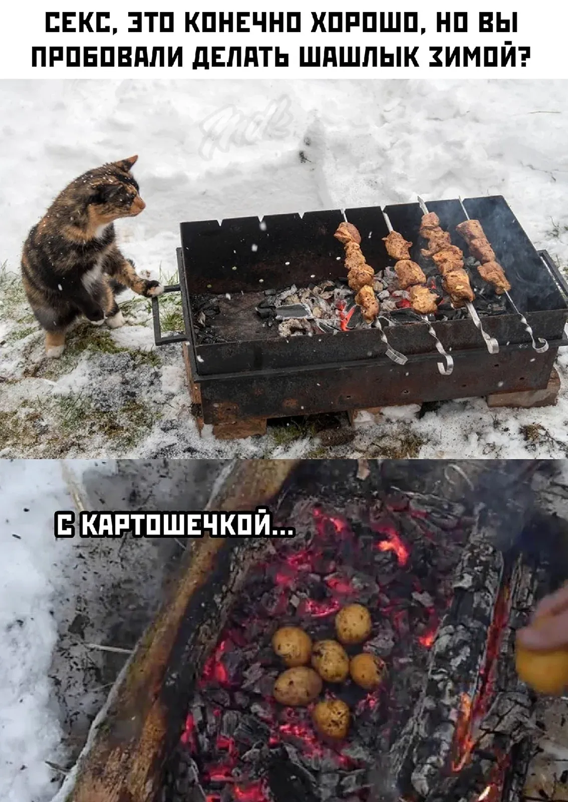 Картинка я шашлычок