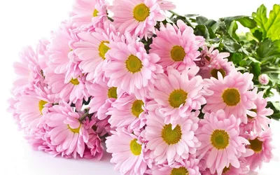 Шикарный букет цветов купить с доставкой по Томску: цена, фото, отзывы.