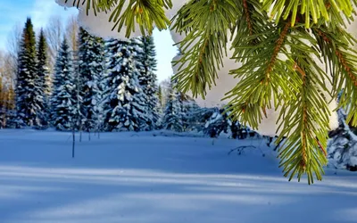 Картинки горы, зима, красивые, небо, ночь, природа, снег, широкоформатные -  обои 2560x1600, картинка №133620