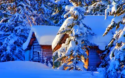 Зимний пейзаж фото | Winter scenery, Winter landscape, Beautiful nature