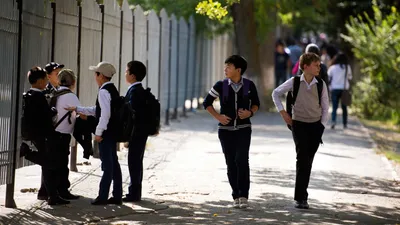 Сколько лет действительно будут учиться школьники Узбекистана — ответ  министерства
