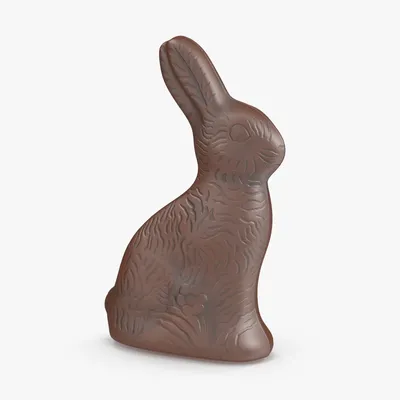 Шоколадный заяц - Гладиолусы оптом в розницу