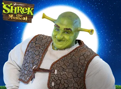 Mike Myers Would Be 'Thrilled' To Do More SHREK Movies