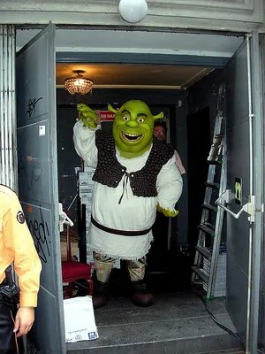 Man Finishes Tweeting All of 'Shrek's 129,575 Frames, Reveals Favorite