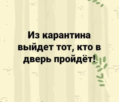 Изображение арбуза с яркими красками: фото на андроид в хорошем качестве