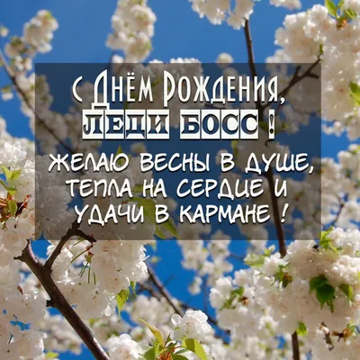 прикольноепоздравление#сднемрождения#сднемрожденияженщине#поздравлени... |  TikTok