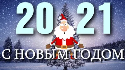 Предсказания на Новый год: шуточные, смешные и добрые новогодние пожелания  на 2024 год