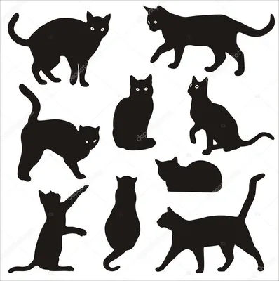 Силуэты кошек | Black cat tattoos, Cat tattoo, Cat silhouette tattoos