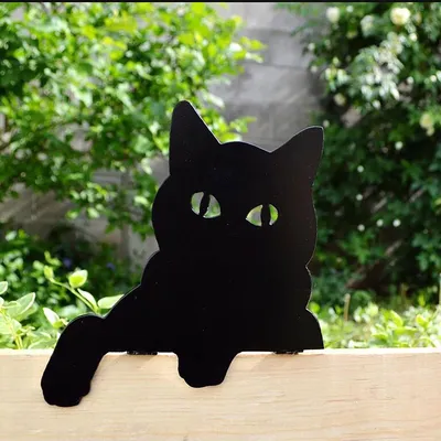 Черный кот рисунок силуэт - 76 фото