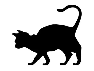 Черный силуэт кошки с котенком Иллюстрация вектора - иллюстрации  насчитывающей лапка, ангстрома: 159405300