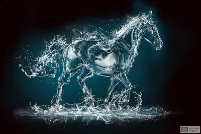 Чёрный силуэт лошади, прыгнувшей с…» — создано в Шедевруме