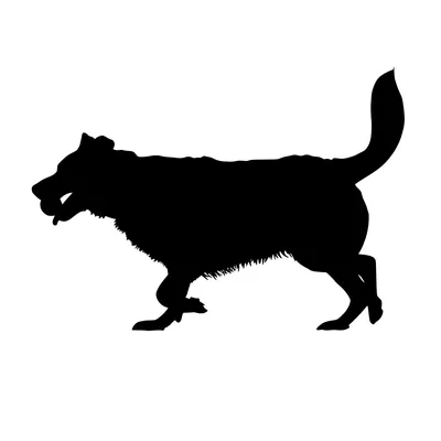 Векторный рисунок. Черный силуэт собаки Stock Vector | Adobe Stock