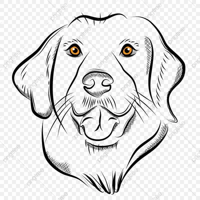 Силуэт собаки, собаки в различных представлениях Иллюстрация вектора -  иллюстрации насчитывающей ретривера, черный: 130603778