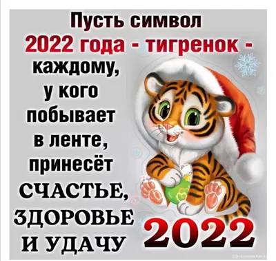 Как сделать тигра, символ 2022 года и садовую фигурку. | Ольга Мишина,  рисование и поделки для всех. | Дзен