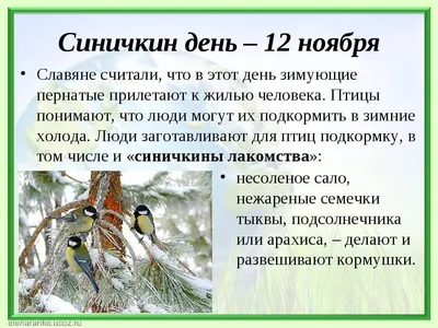 12 ноября Эко-праздник «Синичкин день» - Администрация города Галича