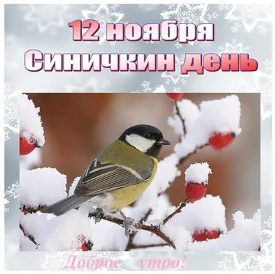 12 ноября -«Синичкин день» — Детский сад №44 города Ставрополя