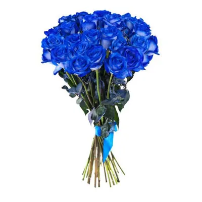 Дельфиниум Картина маслом на холсте Полевые цветы Синие цветы на потали  18х24 от Марины Изотовой • современные художники