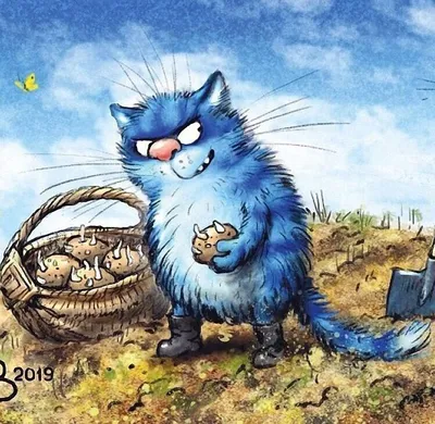 Синие коты Рины Зенюк 2024 | ВКонтакте