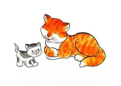 Ястребоухая | Выдуманные Коты-воители Вики | Fandom
