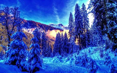 Обои Природа Зима, обои для рабочего стола, фотографии природа, зима, снег,  деревья Обои для рабочего стола, скачать обои картинки заставки на рабочий  стол.