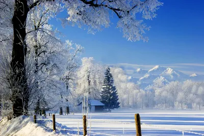 картинки зимы и белый фон обои скачать бесплатно, рождественская снежная  картинка бесплатно, рождество, снег фон картинки и Фото для бесплатной  загрузки