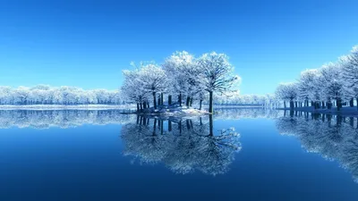 Скачать обои и картинки зима, снег, деревья для рабочего стола в разрешении  2560x1600