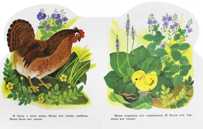 Иллюстрация 1 из 16 для Цыпленок - Корней Чуковский | Лабиринт - книги.  Источник: Лабиринт