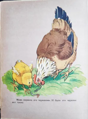 К. Чуковский \"Цыпленок\" (1957)