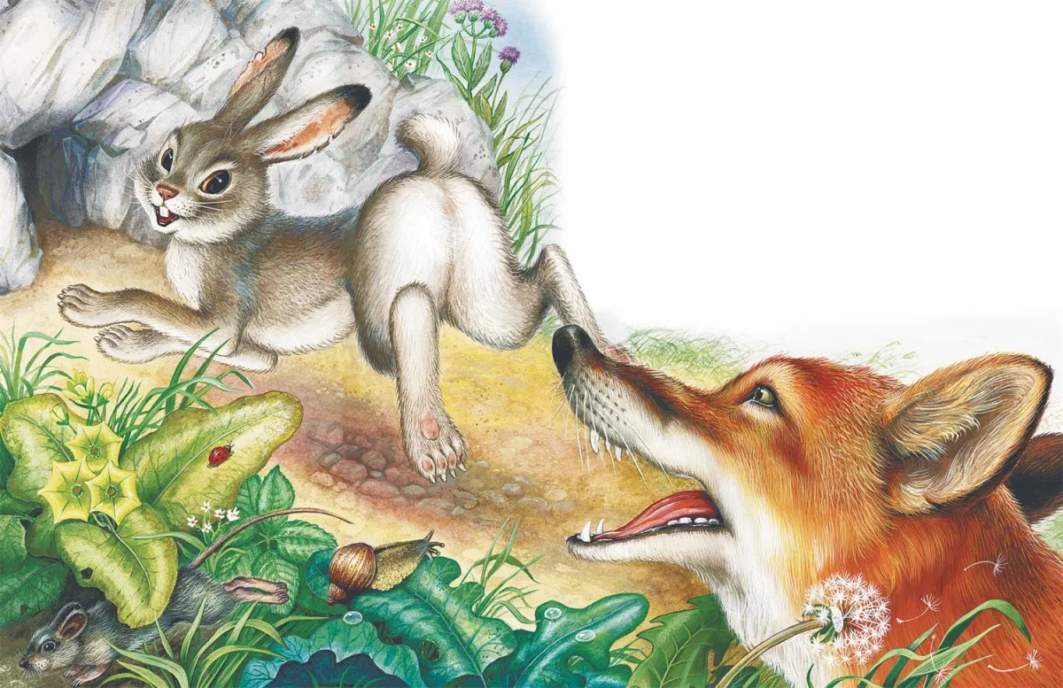 Задача заяц и лиса