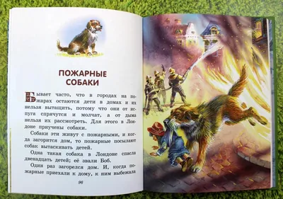 Иллюстрация 112 из 149 для Все сказки и картинки - Владимир Сутеев |  Лабиринт - книги. Источник: Лабиринт