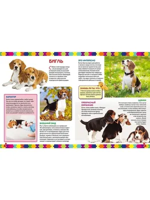 Картинки для детей собачка (66 фото) - картинки sobakovod.club