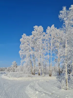 Путешествие-Жизнь - Сказочная зима в Лапландии (Финляндия). | Facebook