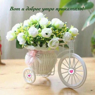 Pin de Світлана Капущак em привітання | Rosas trepadeiras, Belas fotos de  flores, Arranjos de flores