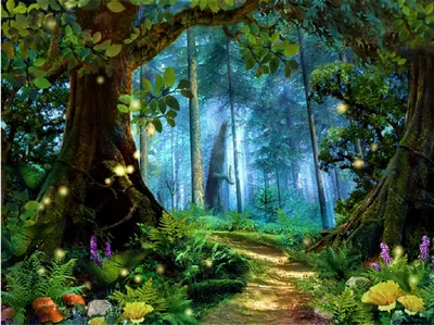 Сказочный лес. | Пикабу