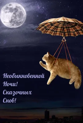 Доброй ночи! 🌟🌛🌟Сказочных снов! 😴😴😴❤❤❤#добройночи #спокойнойночи... |  TikTok