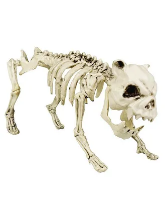 Анатомия скелеты и черепа - Скелет собаки, ANTM_1186 | 3D модель для ЧПУ  станка