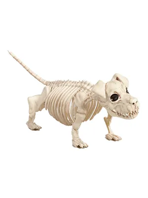 Бутафорский скелет Собаки купить за 1704 грн. в Fancydress