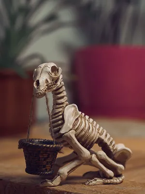 Скелет собаки зимой» — создано в Шедевруме