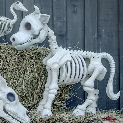 Хэллоуин, скелеты животных, кости, подвижная страшная модель,  домашнее/уличное украшение для дома с привидениями, страшный реквизит,  детская игрушка | AliExpress