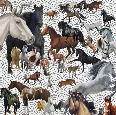 Сколько лошадей на картинке ты видишь? Тест покажет твою истинную натуру |  Nadrav | Дзен