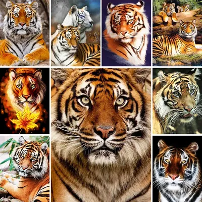 Сколько тигров на картинке? Настоящее испытание на внимательность |  Офигенно | Дзен