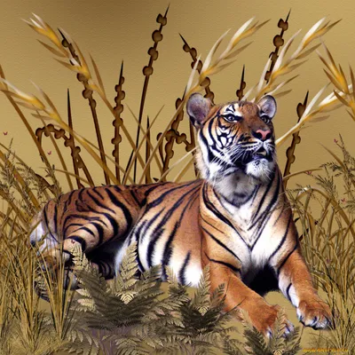 На реинтродукцию туранских тигров в течение 5 лет выделят 2 млрд тг |  Inbusiness.kz